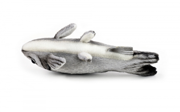 kleiner Hering (Sprotte) ca. 12 cm